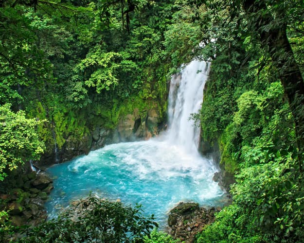 Image - EXOTIC COSTA RICA