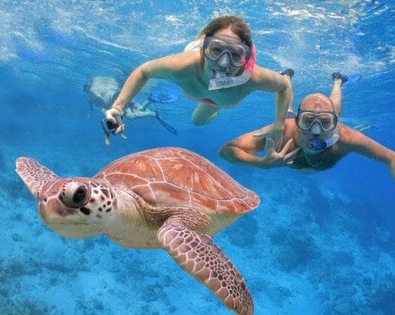 Immagine - Daymaniyat Island Snorkeling Trip Half-Day