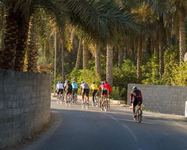 Immagine - Tranquil Oasis Ride - Biking Tour