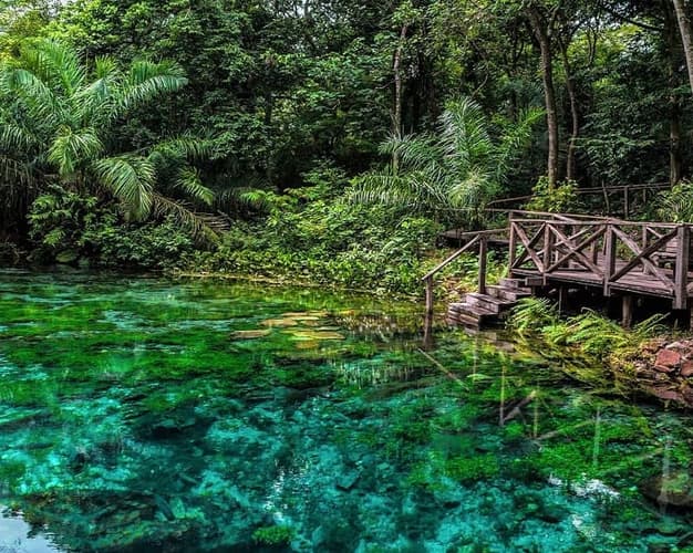 Imagem - 🌿 Temporada Bajas en Pantanal y Bonito - Pousada Aguapé y Olho D'agua