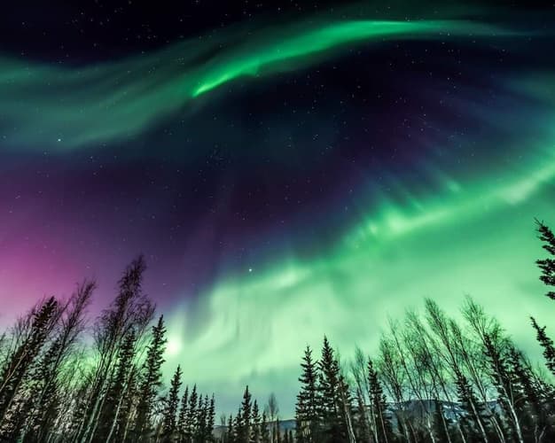 Imagen - Maravillas Árticas: La Magia de Año Nuevo