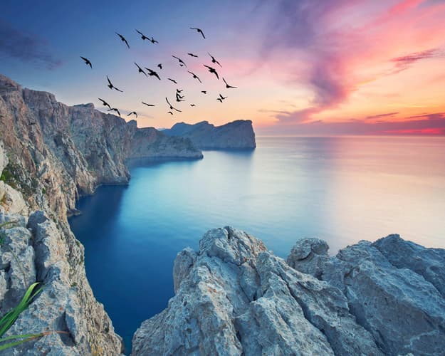 Imagen -  Valentin Playa de Muro Mallorca