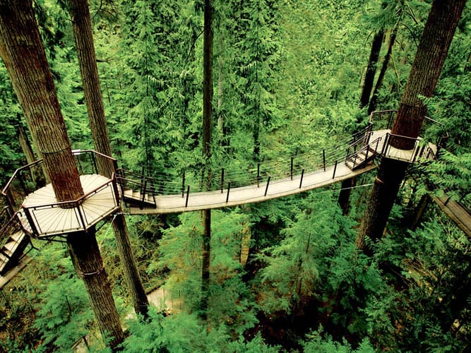 Image - Vancouver Vibes: City & Nature Escape