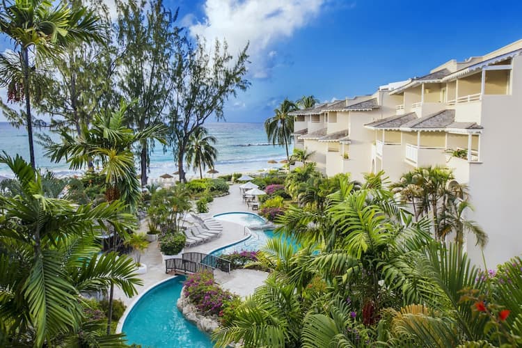 Image - Winter Sun Bougainvillea Barbados