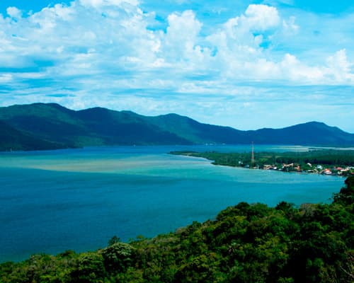 Imagen - Imperdible en Florianópolis, Brasil 🥥