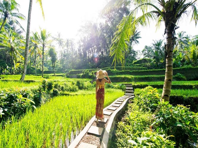 Bilde - 5 Days BALI (5* - Full Day Eat Pray Love Bali Private Tour)