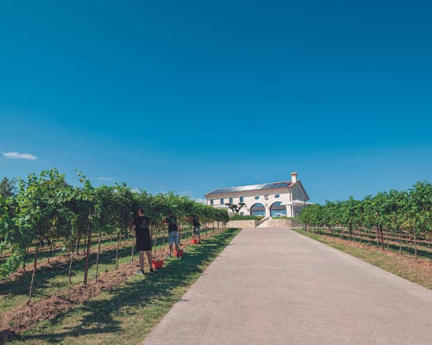 Immagine - 6 N Tenuta d’Asolo with winetasting