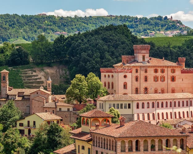 Immagine - Nella terra del Re dei Vini, tour tra le vigne del Barolo