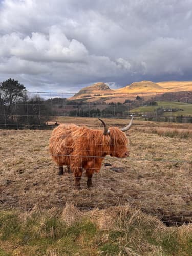 Image - Glasgow, United Kingdom