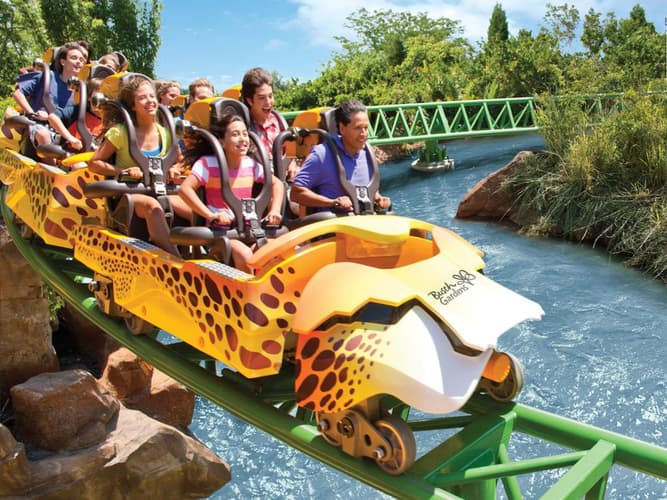 Imagen - Descubre el Parque SEAWORLD Y BUSCH GARDENS en Orlando