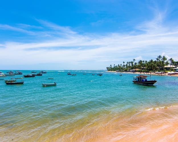 Imagen -  Salvador de Bahía y Praia do Forte