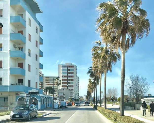 Immagine - Hotel City****- Montesilvano