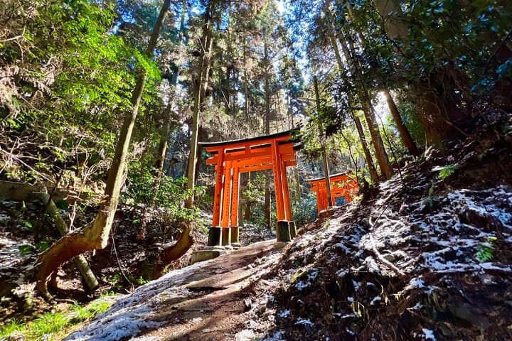 Image - Adventure Japan - May 2026 