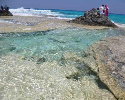 Immagine - A Marsa Matruh con Going 