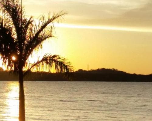 Image - GORILAS Y CHIMPANCES EN UGANDA