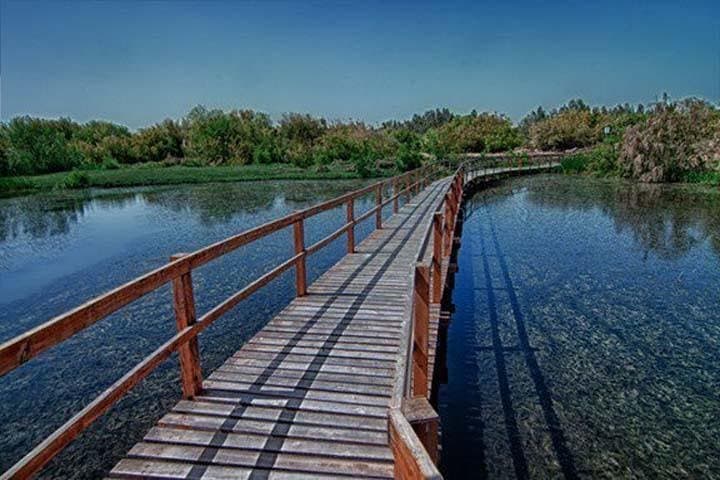 Obraz - 4 Days. 5* AMMAN + Shaumari Reserve and Azraq Wetland visit