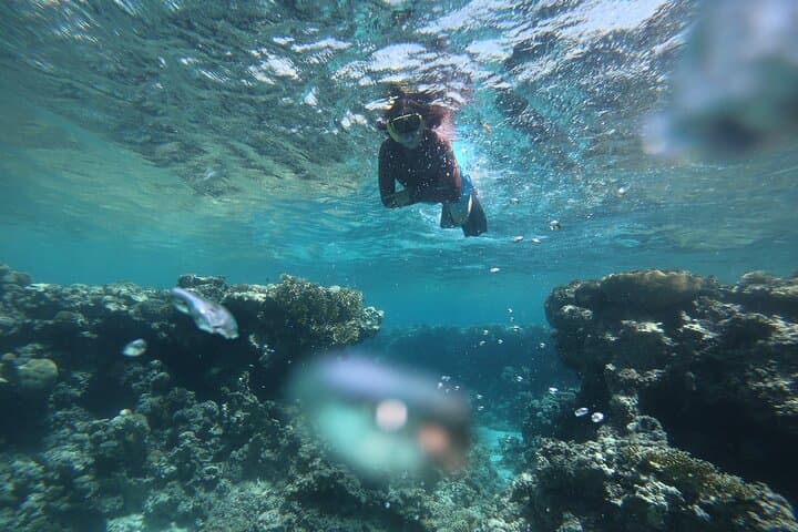 Image - 5 Days. Aqaba & Wadi Rum: Desert & Sea Adventure