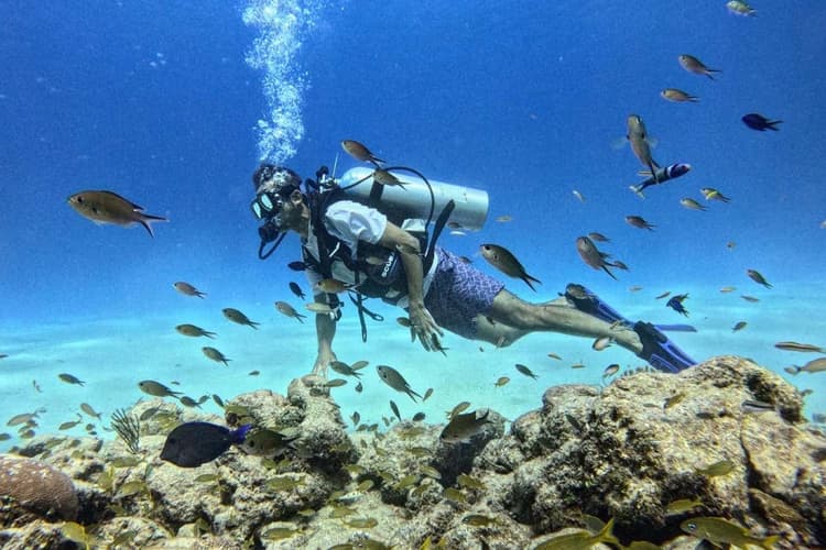 Image - Bautismo de buceo en San Andrés