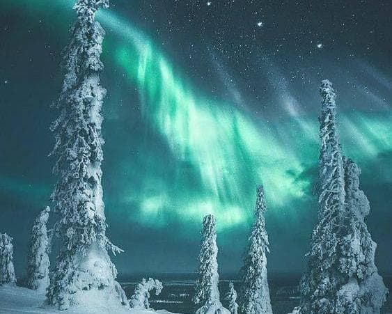Immagine - 4 Days in Lapland