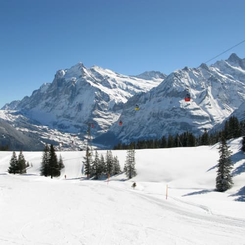 Imagem - Una settimana Grindelwald, alloggio+colazione