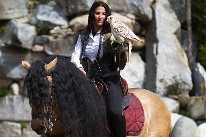 Image -  Skip the Line: Falconeria Locarno Ticket