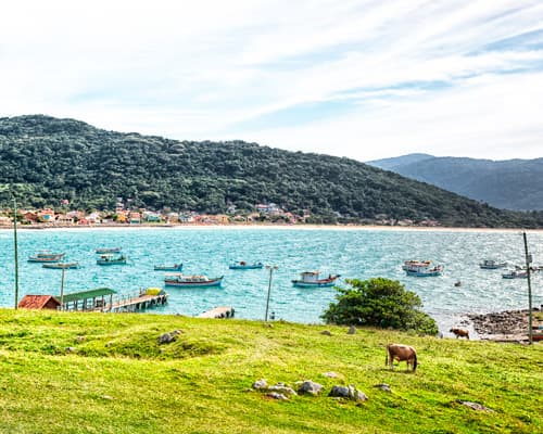 Imagen - ¡Florianópolis en familia!