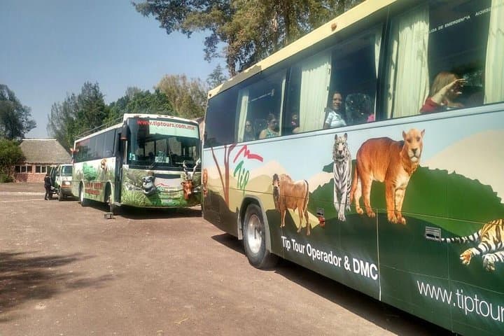 Imagen - Donde festejar a tu niñ@, idea original y cerca de la CDMX! Día del niño en Africam Safari