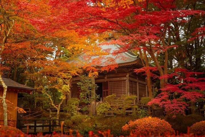 Image - Collection Secret de Voyage - le Japon caché