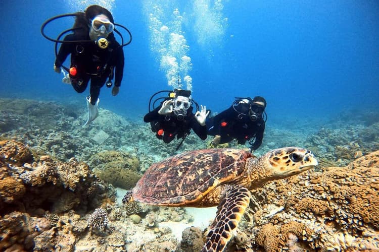 图像 - 4 Days. 5* Hyatt Regency Aqaba Ayla Resort (BB)