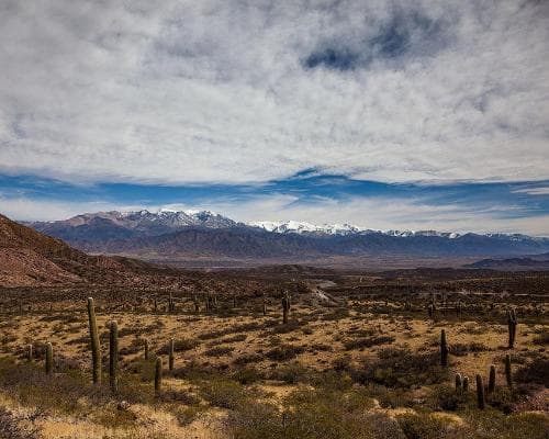 Imagen - Cafayate entre Viñedos