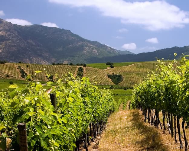Image - Visita el Valle de Colchagua, Santa Cruz