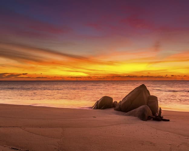 Imagem - COMBO "PLAYITAS DE IXTAPA" | SIN HOSPEDAJE | 2 TOURS