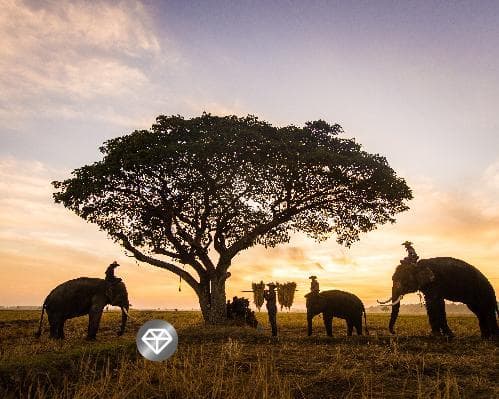 Imagem -  Sudáfrica Exclusivo