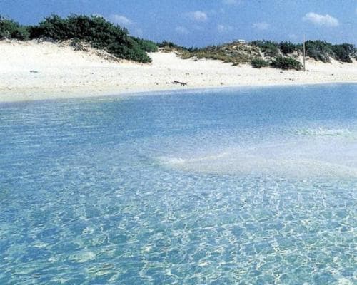 Image - Villaggio Punta Grossa - Vacanza mare 