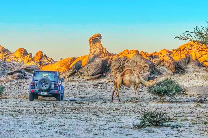 Bild - 4 Days. JEDDAH 4* - Moon Valley Hike Experience from Jeddah
