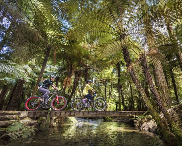 Image -  Ontdek Nieuw-Zeeland met de Familie