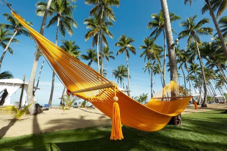 Imagen - VIVA WEEK verano Viva V Samana By Wyndham