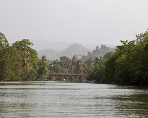 Imagen - 10 Miches - Junio y Julio 2026