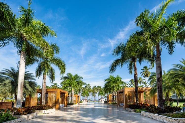 Imagen - VIVA WEEK en Viva V Samana By Wyndham 2027