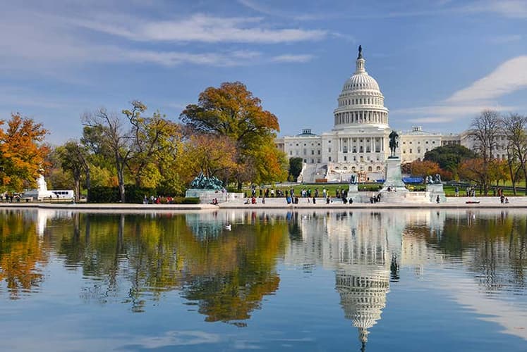 Image - Aventura Urbana: Nueva York + Washington