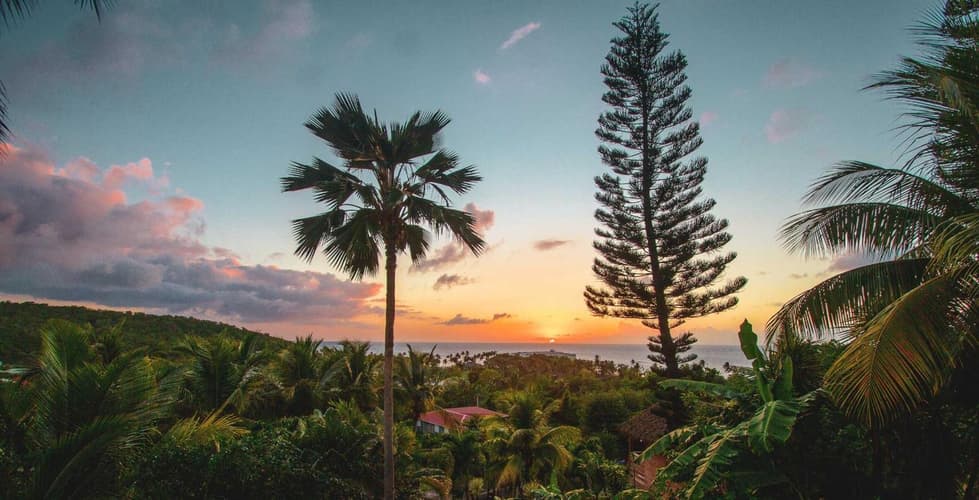 Beeld - Strandvakantie  | Guadeloupe