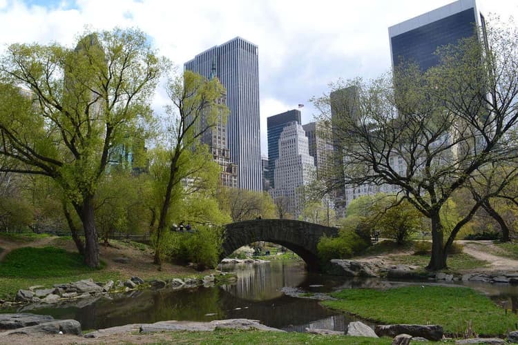 Imagen - Tour por el Alto y Bajo Manhattan
