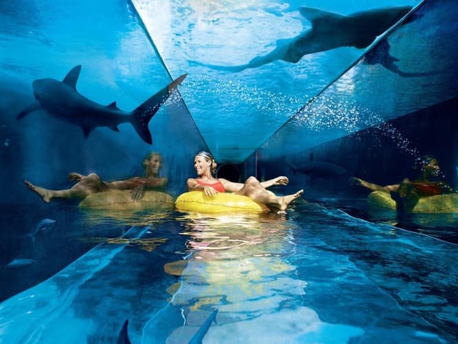 圖像 - 6 Days. Dubai 4* + 2 Tours: (1) Aquaventure (2) IMG World