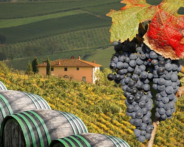 Immagine - Tour delle Cantine del Chianti con pranzo toscano e San Gimignano