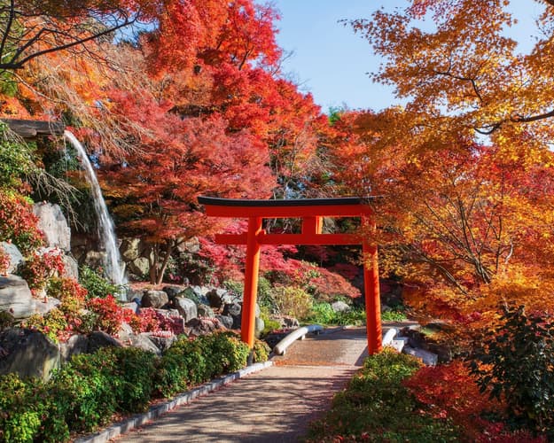 Imagem - Japão, Especial Primavera 2027