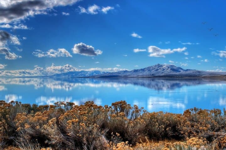 Immagine -  Yellowstone e il selvaggio West