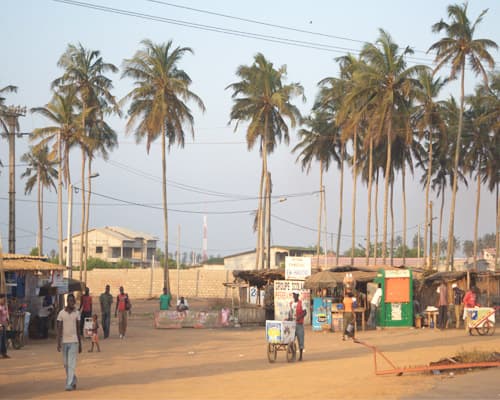 画像 -  10 Day Highlights of Cote d Ivoire