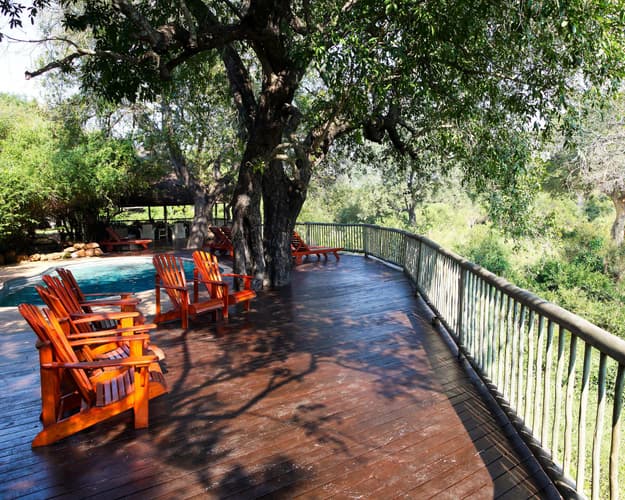 Imagen - Experiencia en Sudáfrica, Sabi Sabi Bush Lodge (Reserva Privada)