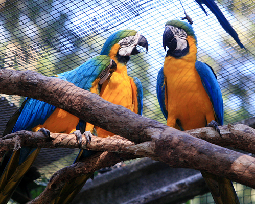 Imagen - Entrada Parque de las Aves