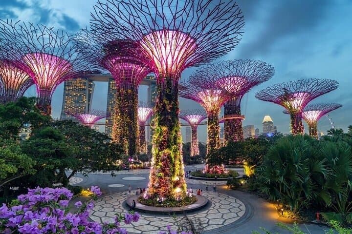 Imazhi - Singapore Gardens by the Bay